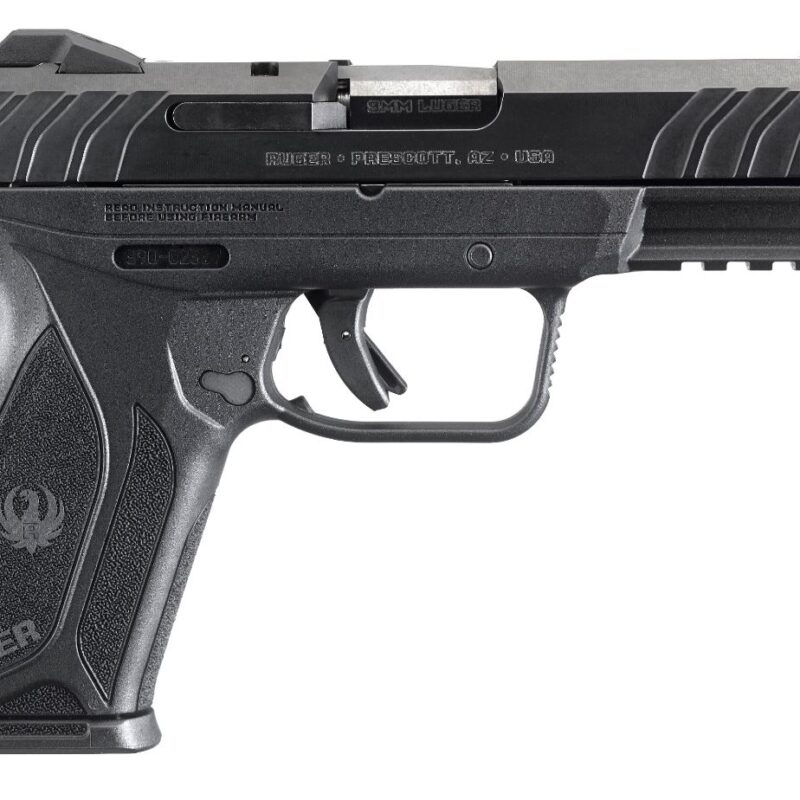 Ruger 3810